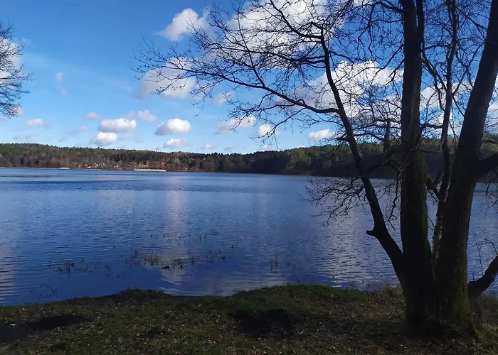 Zbychowskie Zacisze Dom wakacyjny Zbychowo