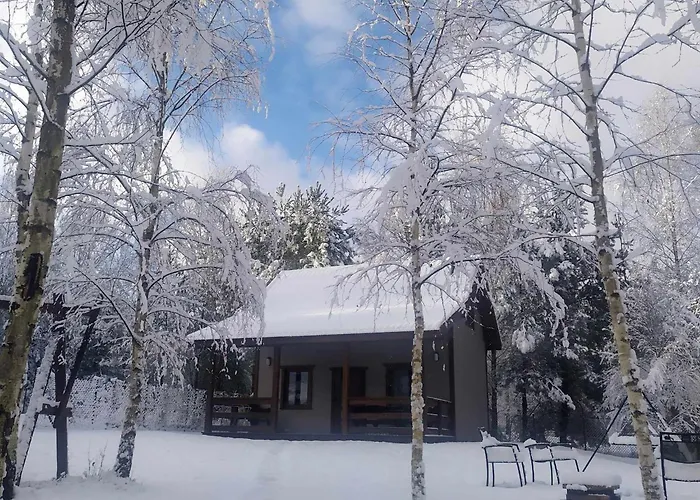 Dom wakacyjny Zbychowskie Zacisze Zbychowo